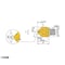 mini photo