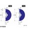 mini photo