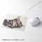 mini photo