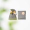 mini photo