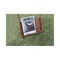 mini photo