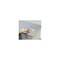fXN}bg@ItBn