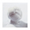 mini photo