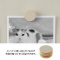 mini photo