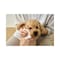 mini photo