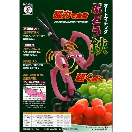 Ԃǂ