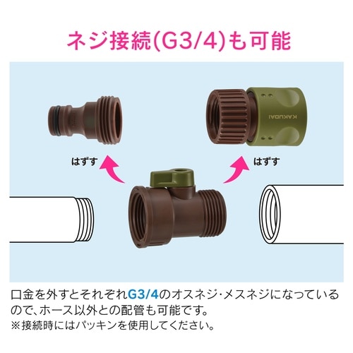 茳Xgbvp