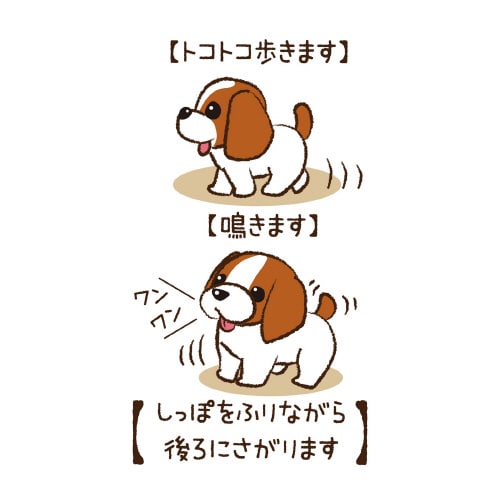 Zbg