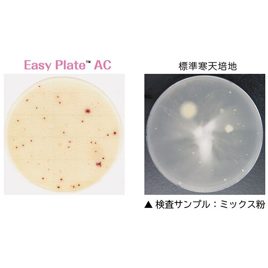 y①zdo@`b