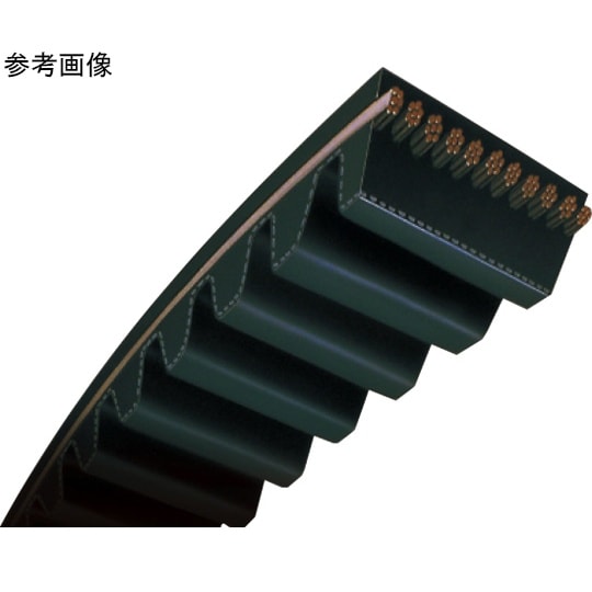 �O�c���x���g�@���K�g���N�f�@�^�C�~���O�x���g�@�l�s�r�W�l�`�i���d�x�����S���j�R�O����