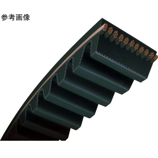 �O�c���x���g�@���K�g���N�f�@�^�C�~���O�x���g�@�l�s�r�W�l�`�i���d�x�����S���j�R�O����