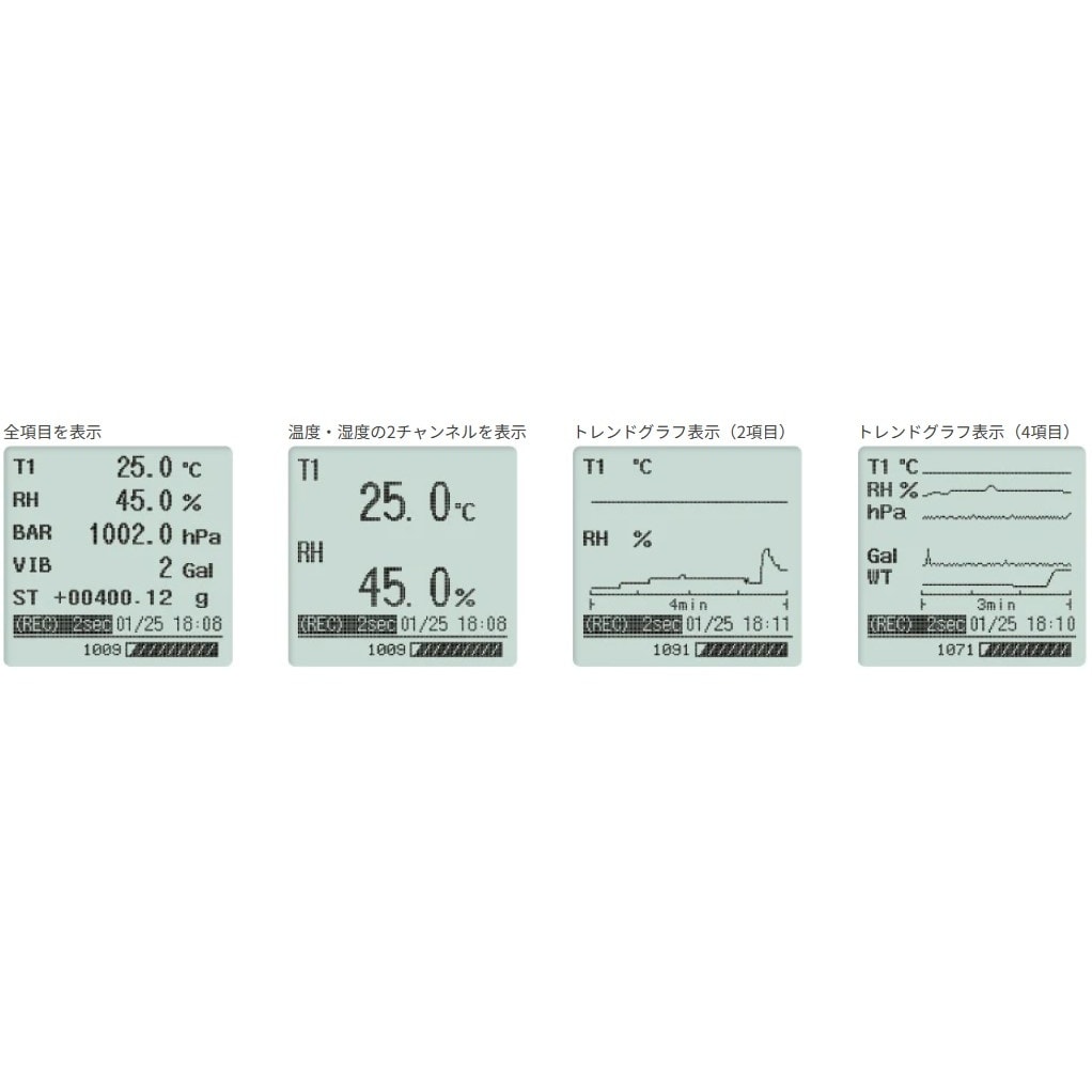 ͂pf[^K[@d`VPTck