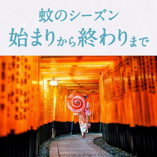 A[Xm[}bgց@UOp@@R{