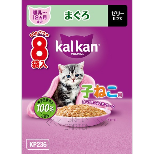 JJpE`@PQ܂ł̎q˂p