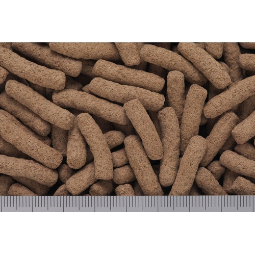 モニタードライ