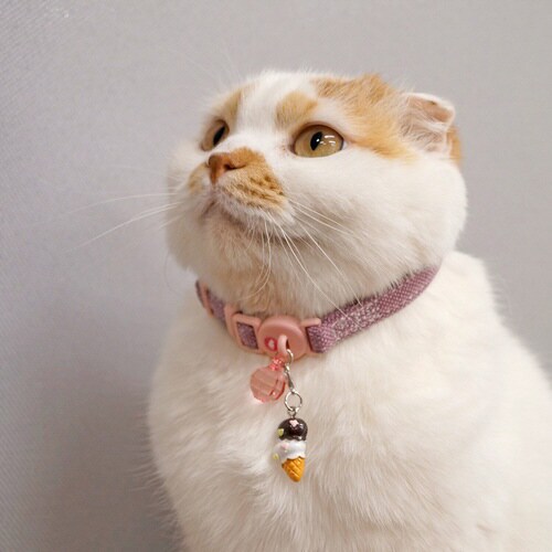 ˂т@~[`F@Ȃ@Cgp[