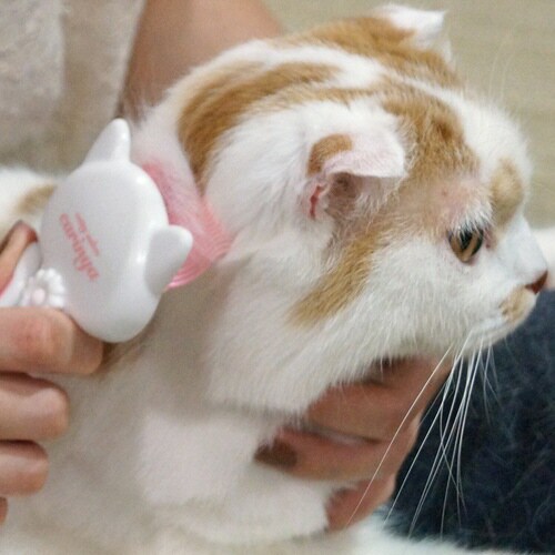 bb@ɂ߂炩R[