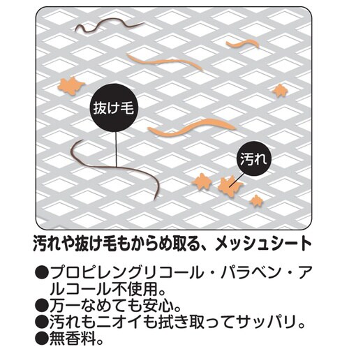 EGbgVv[^I@Lp@唻