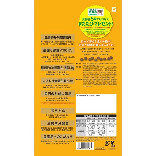 LbgX}bN畆т̌Nێ