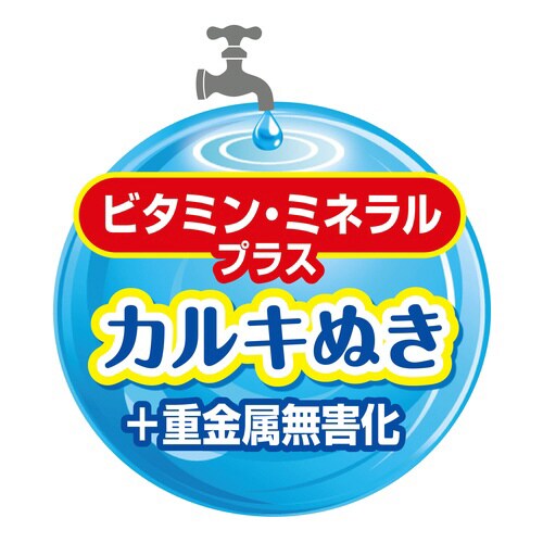 _JC͂ސÂ