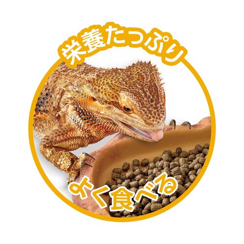 tgASqQgJQ̍uht[h