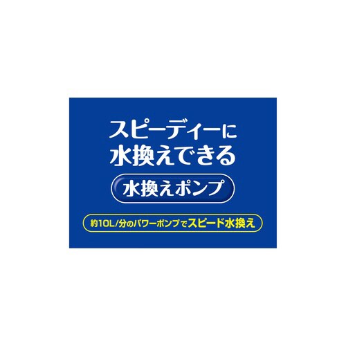 NN@|v