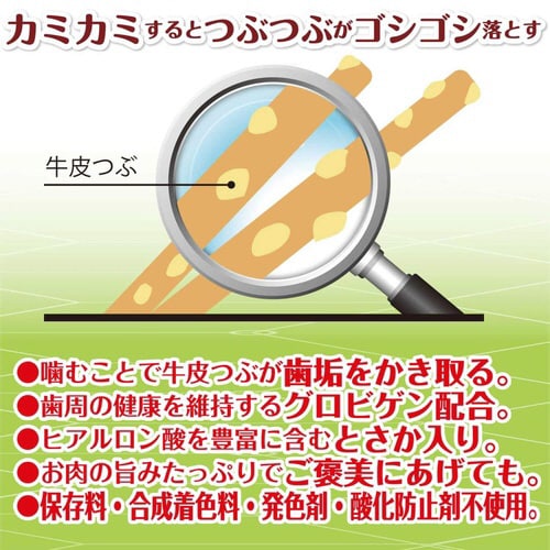 zCfg@TT~f^@Ƃ