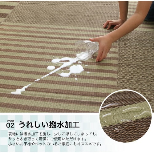 イケヒコラスタ