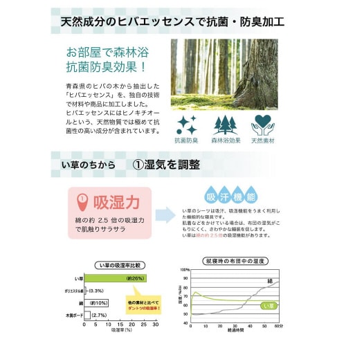 イケヒコラスタ