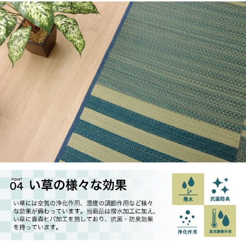 イケヒコラスタ