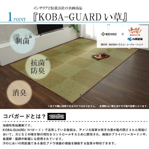 イケヒコラウム