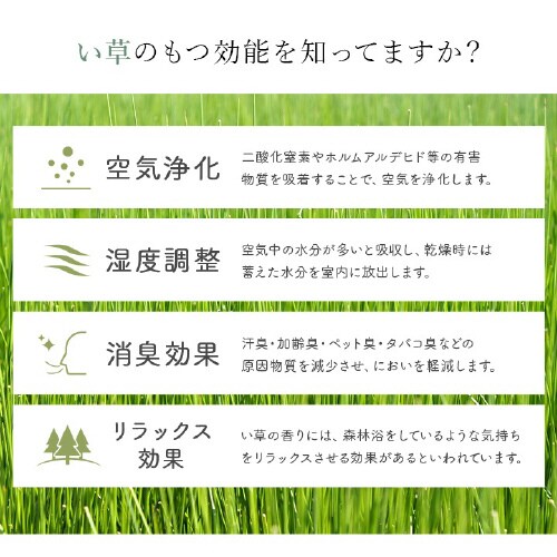 イケヒコラルフ