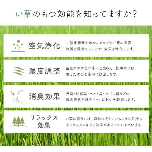 CPqRsIX