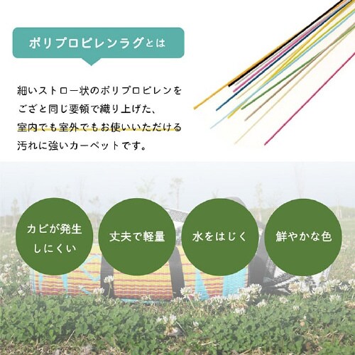 CPqRXg