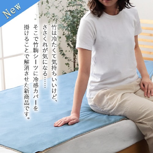 イケヒコHF快竹