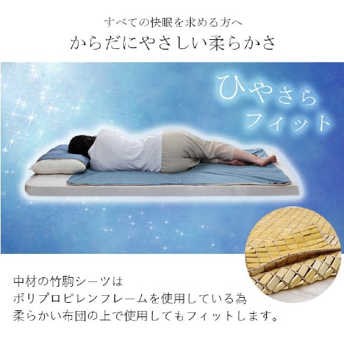 イケヒコHF快竹