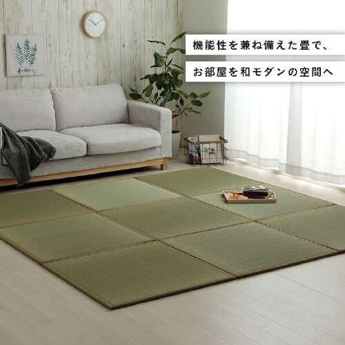 イケヒコ滅ダニ