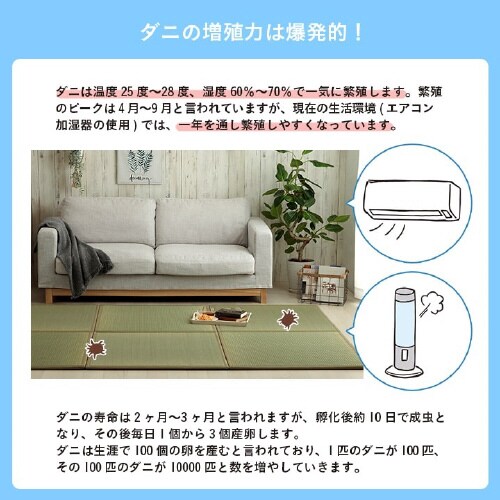 イケヒコ滅ダニ