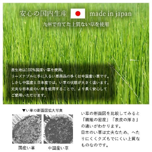 CPqRD