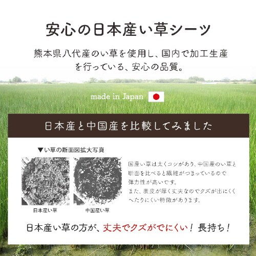 CPqRD