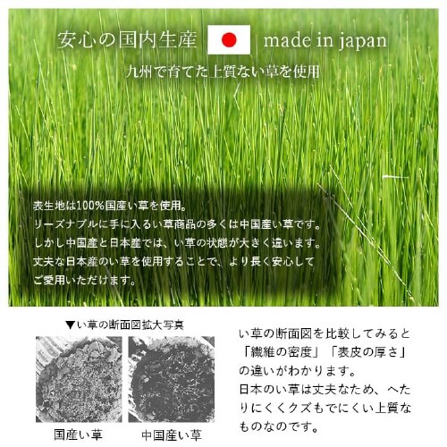 CPqRD