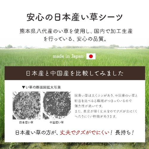 CPqRD