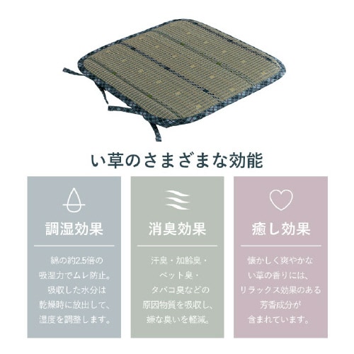 イケヒコリープ