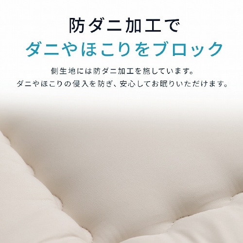 イケヒコ羊毛ヌード