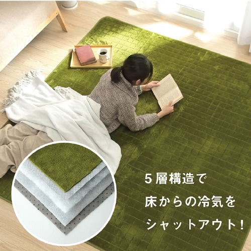 イケヒコレイヤー