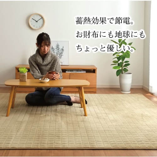 イケヒコレイヤー