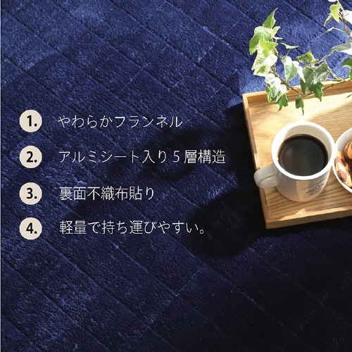 イケヒコレイヤー