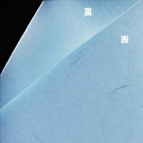 `S@CNWFbgΉ@玆@u[@TO
