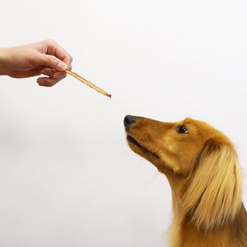 a{炩Th@{