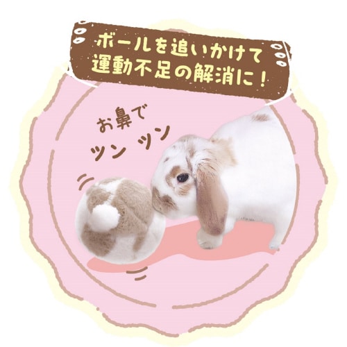 ꎨ̂{[